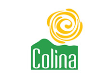 Logotipo de Colina